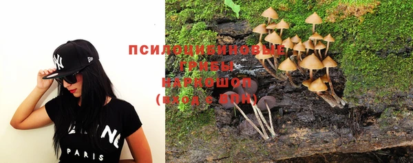 тгк Киреевск