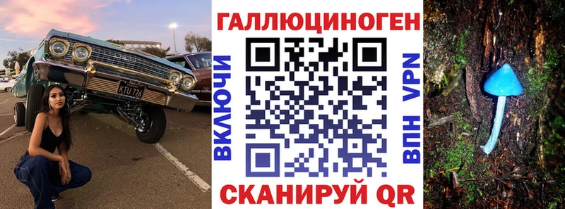 Галлюциногенные грибы Psilocybine cubensis  Купить где  Вельск 