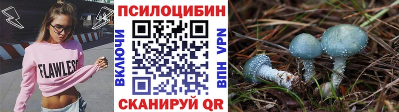 Псилоцибиновые грибы Psilocybine cubensis Вельск